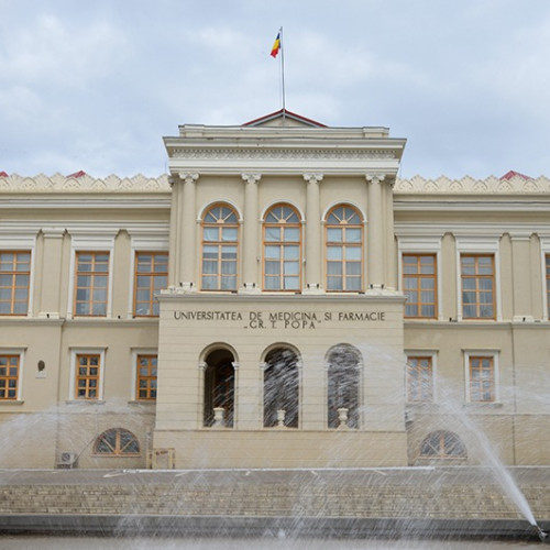 Zilele Diversității 2025: O abordare interdisciplinară a sănătății mintale