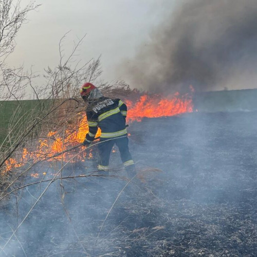Incendii de vegetație uscată în județul Botoșani