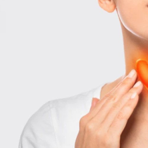 Glanda tiroida: importanța în metabolism și problemele asociate