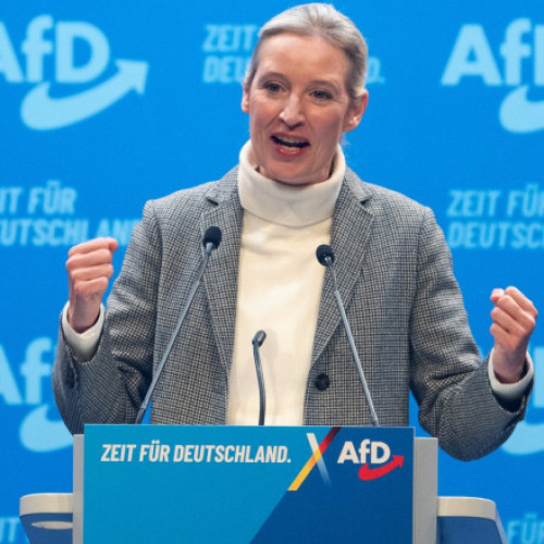 Oficiul Federal pentru Protectia Constitutiei din Germania a clasificat AfD drept partid extremist