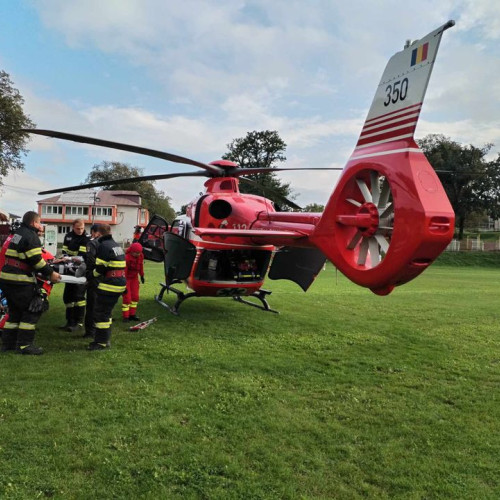 Incident violent la o stână din Botoșani