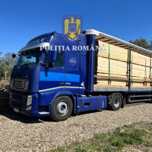Afacerile ilegale cu lemn continuă să preocupe autoritățile
