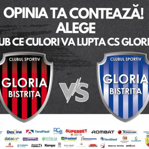 Sondaj despre culorile istorice ale echipei