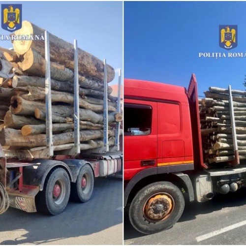 Doi bărbați din județul Bacău, cercetați penal pentru transport ilegal de lemn