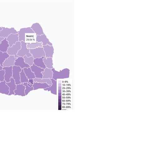 Aproape o treime dintre nemteni au votat pentru alegerile prezidențiale