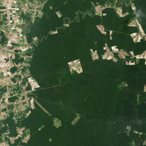 Satelit inovator lansat pentru a evalua pădurile tropicale