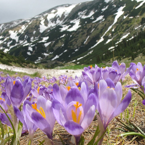 Prognoza Vremea în România pentru perioada 5-18 mai 2025
