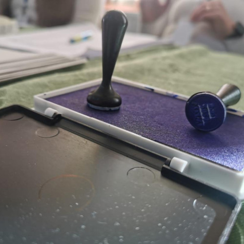 Rezultatele alegerilor prezidențiale în Neamț: George-Nicolae Simion, câștigător surpriză