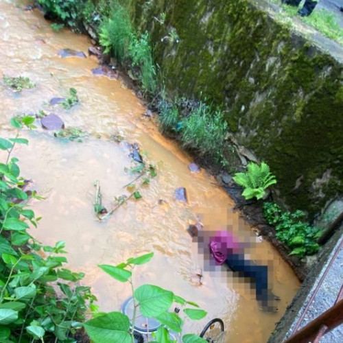 Descoperire tragică în Handalul Ilbei: un bărbat de 67 de ani a fost găsit mort sub un pod