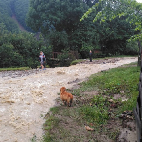 Avertizare Cod galben de inundații în 24 de județe