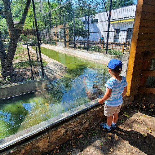 Societatea &quot;Mă gândesc la ea&quot; SRL a obținut contracte pentru servicii de curățenie la Zoo Sibiu