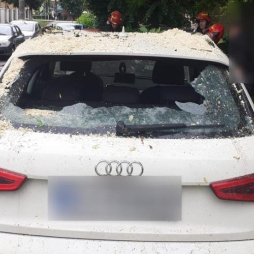 Un copac s-a prăbușit pe Calea Victoriei, distrugând două mașini