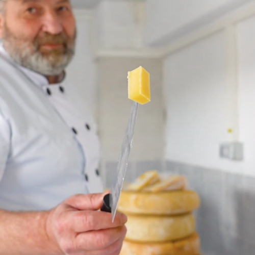 Moldoveanul Ion Gherman revine în țară pentru a produce brânză maturată