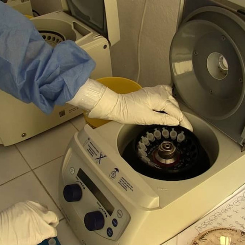 O nouă descoperire în tratamentul bolii Lyme