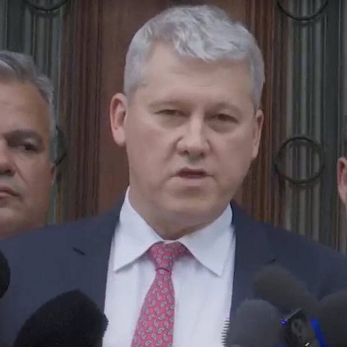 PNL susține candidatura lui Nicușor Dan la alegerile prezidențiale