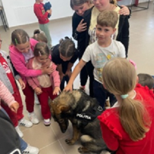 Polițiștii din Maramureș educă tinerii pentru o societate responsabilă