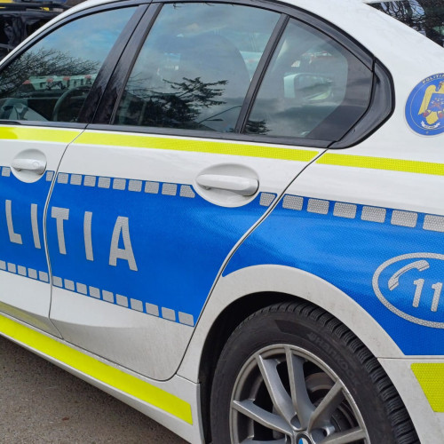 Botoșănean cercetat pentru furt de telefon și câine