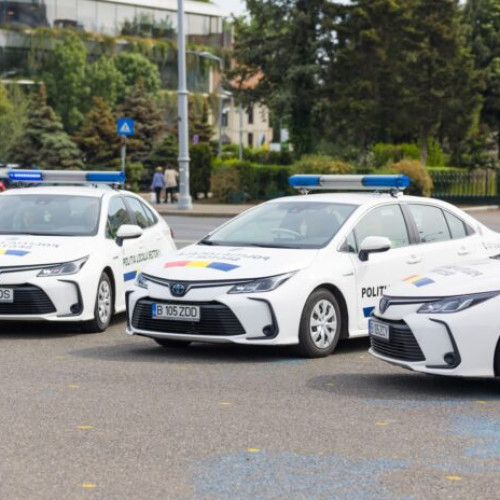 Politia Locala Sector 1 intensifica lupta împotriva abandonului ilegal de deșeuri