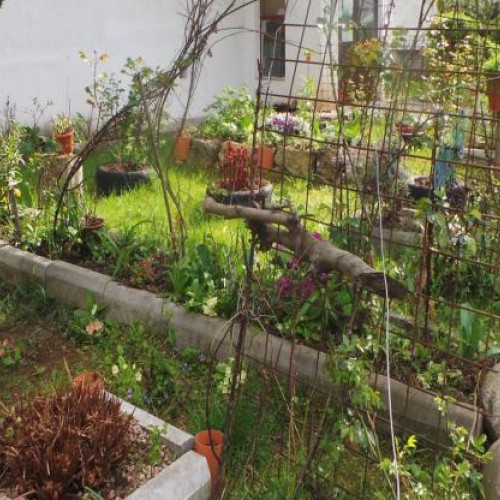 Curățenia în Cluj-Napoca: Competiție cu premii între asociațiile de proprietari