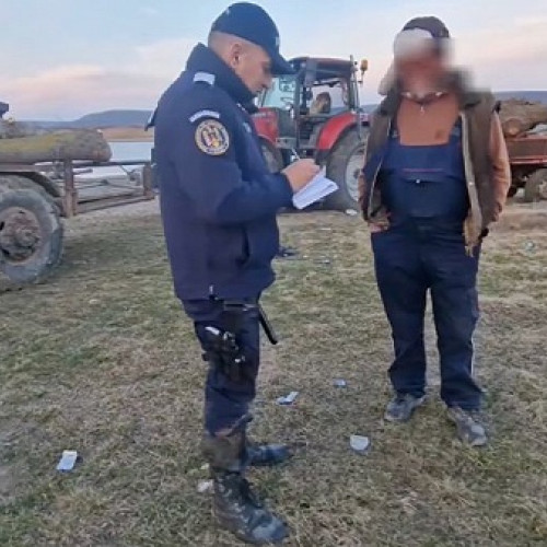 Patru percheziții în cazul tăierilor ilegale de arbori în localitatea Băbta