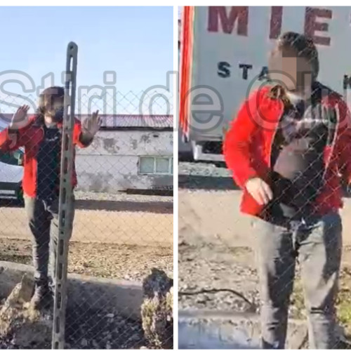 Incident violent în Florești, la Dealul Cetății din cauza câinilor agresivi