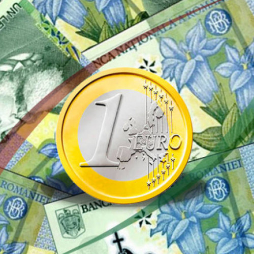 Criza economică afectează moneda națională