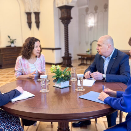 Întâlnire la Cotroceni între Ilie Bolojan și Roxana Minzatu