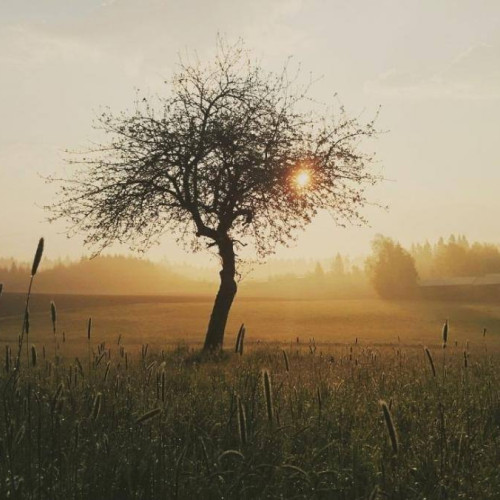 Weekend cu aspect de iarnă în județul Dâmbovița