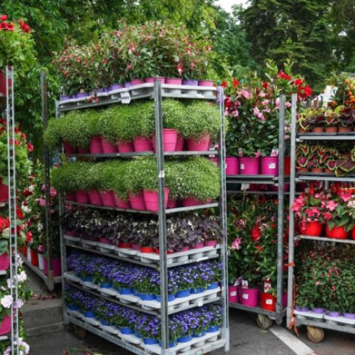 Festivalul "Zilele Horticulturii Bucurestene" 2023 la Campusul Agronomie Herastrau