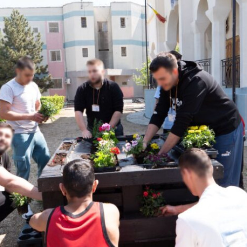 Proiect inovator la Penitenciarul București-Rahova