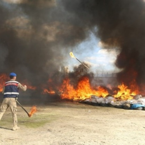 Poliția din Lice, Turcia, a ars canabis și a provocat halucinații locuitorilor