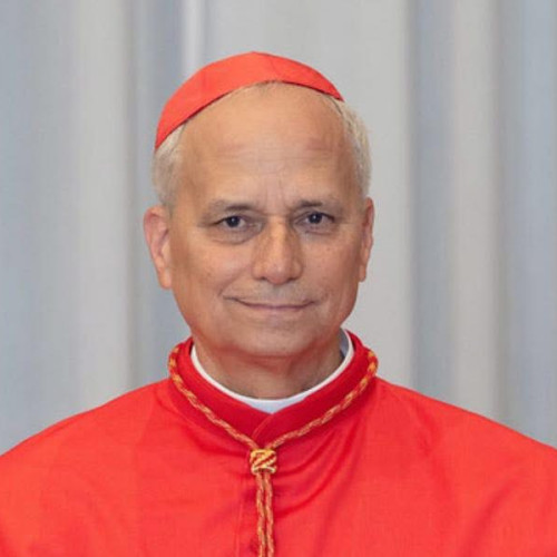 Cardinalul Robert Francis Prevost ales Papa Leon al XIV-lea