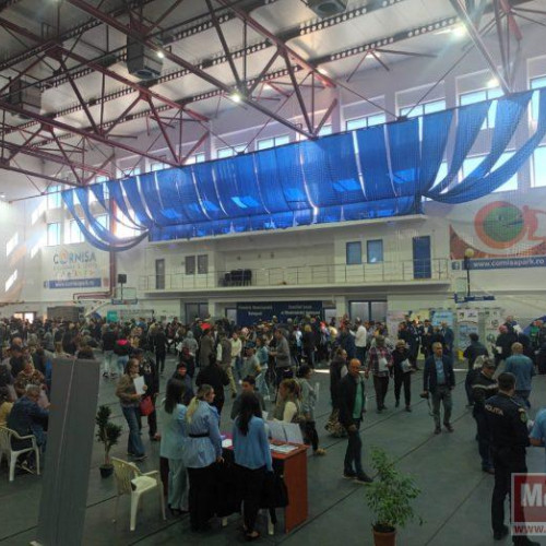 AJOFM Botoșani organizează Bursa locurilor de muncă pe 23 mai