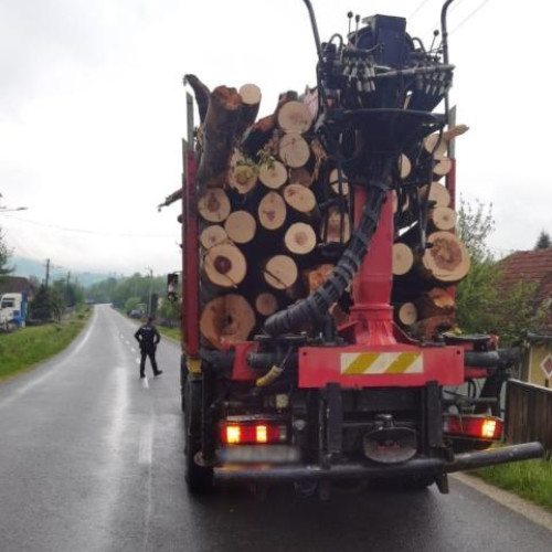 Acțiuni de control în domeniul silvic în județul Cluj