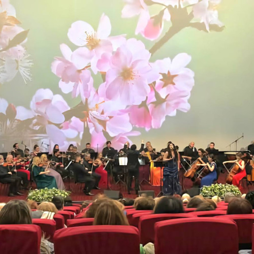 Concertul "Primăvara Clasică Europeană" la Târgoviște