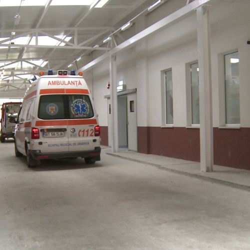 Tanără din Botoșani, în stare gravă după o înțepătură de albină în timpul unei transmisiuni live