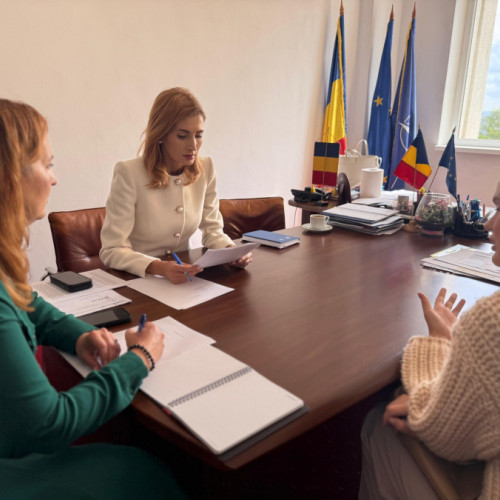 Programare pentru audiențe cu prefectul Andreea-Anamaria Naggar