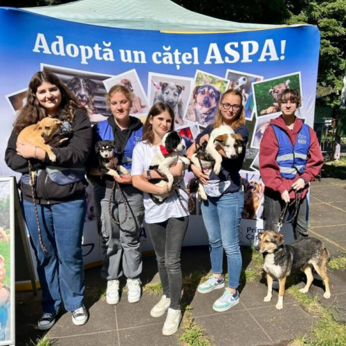 Eveniment canin în Parcul Tineretului