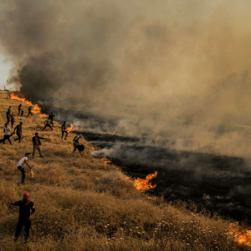 Conflictele viitoare: lupta pentru resurse în fața unei lumi tot mai aglomerate