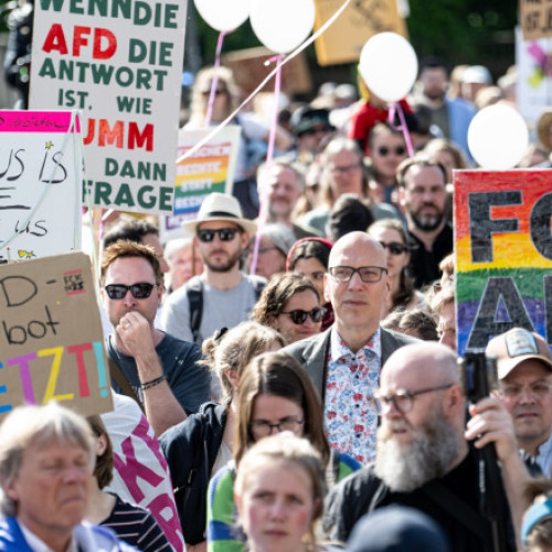 Proteste în Germania împotriva partidului AfD