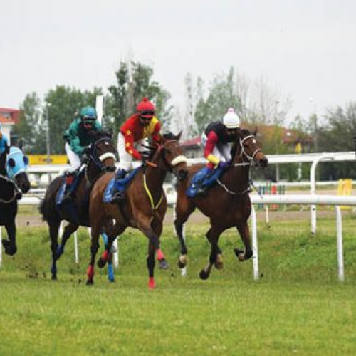 Hipodromul Ploiești găzduiește o reuniune hipică de seamă