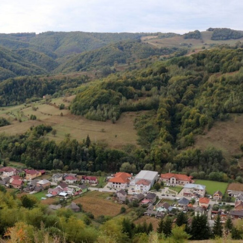 Numărul căsătoriilor în 2023: o scădere față de 2018