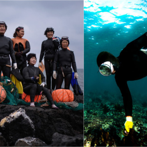 Comunitate unică de scafandre haenyeo în Coreea de Sud