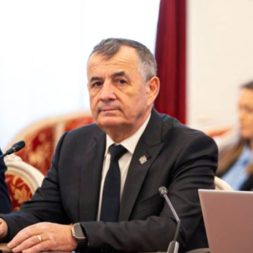 Activitatea senatorului din Botoșani: proiecte și provocări