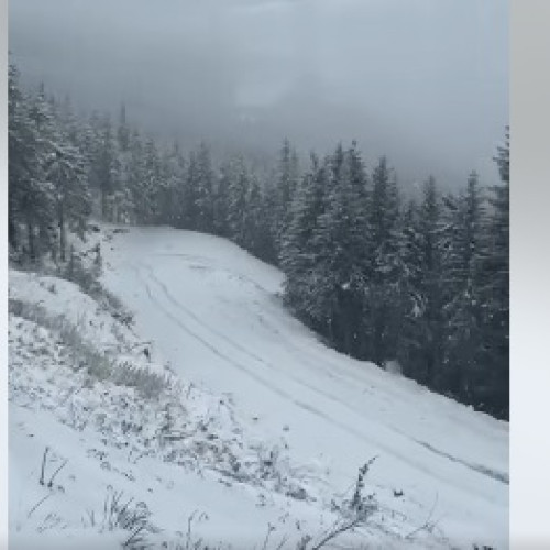 Ninsoare în zona montană a județului