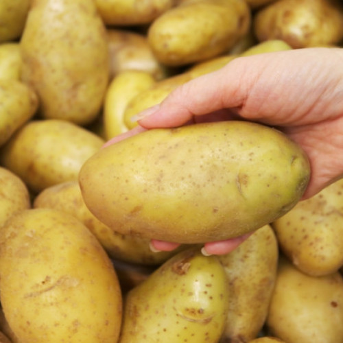 Penuria de cartofi în Belarus creează nemulțumire