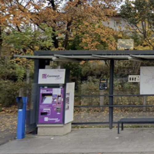 Scene halucinante în cartierul Grigorescu din Cluj-Napoca