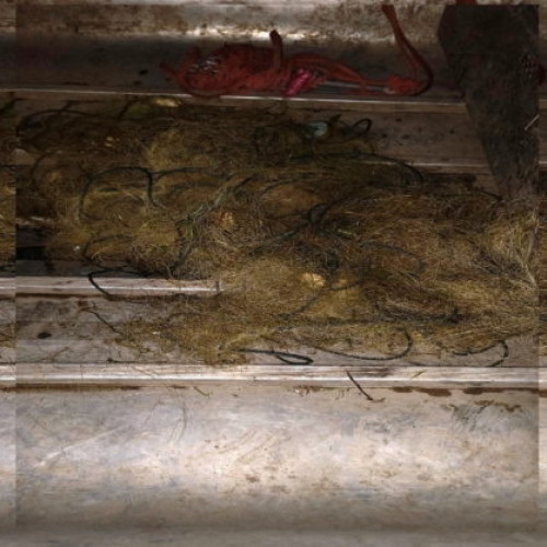 Intervenție a polițiștilor de frontieră în Botoșani pentru combaterea braconajului