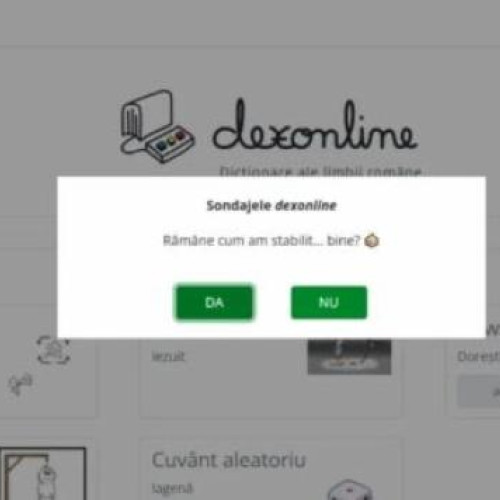 Dexonline implicată în controversă politică în plină campanie electorală