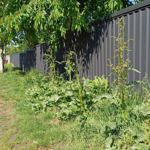 Primarul Cosmin Andrei îndeamnă cetățenii să îngrijească spațiile verzi